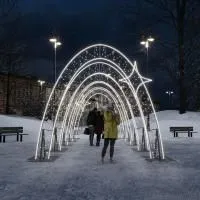 Новогодний тоннель «Тоннель желаний» - AR 61