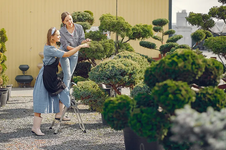 women-working-greenhouse-with-green-trees.png